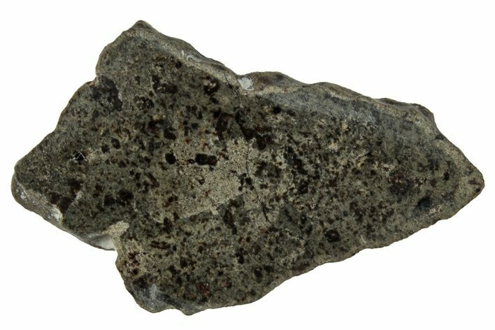 Polished Martian Meteorite Slice ( g) - Amgala #263252